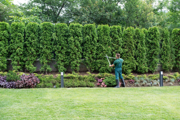 Best Arborist Services Near Me  in Lake Caroline, VA